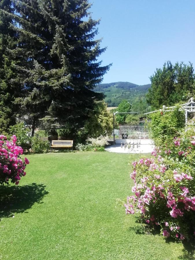 Penzion Pohoda - Apartmany Jeseník Buitenkant foto