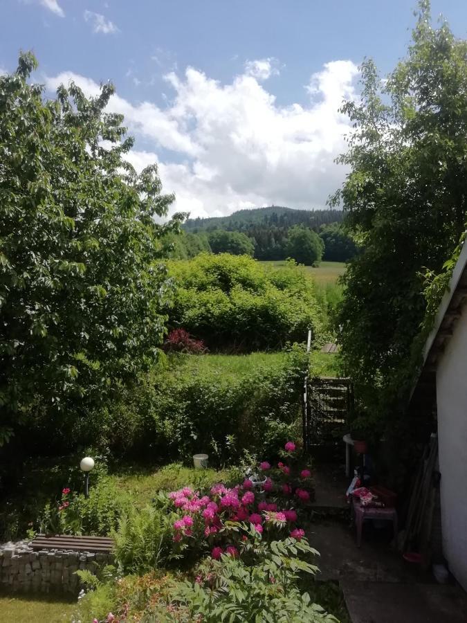 Penzion Pohoda - Apartmany Jeseník Buitenkant foto